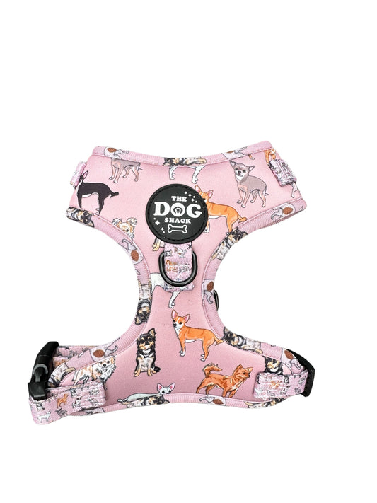 Adjustable Harness  - Lola & Friends - Chihuahua Collection