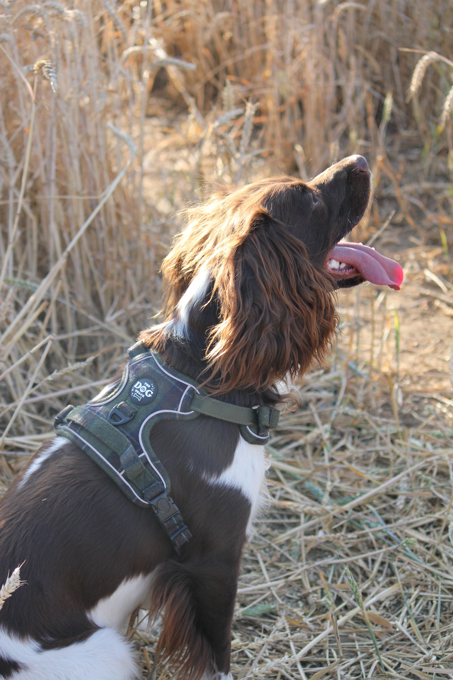Adjustable 1 Clip & 3 Clip Harness  - Green Tweed