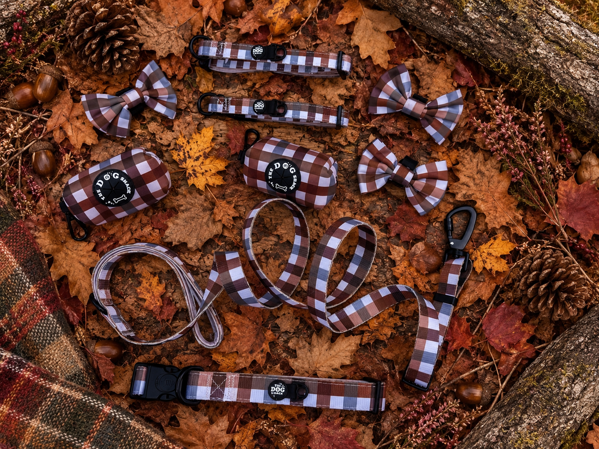 Bow Tie  - Norfolk Gingham