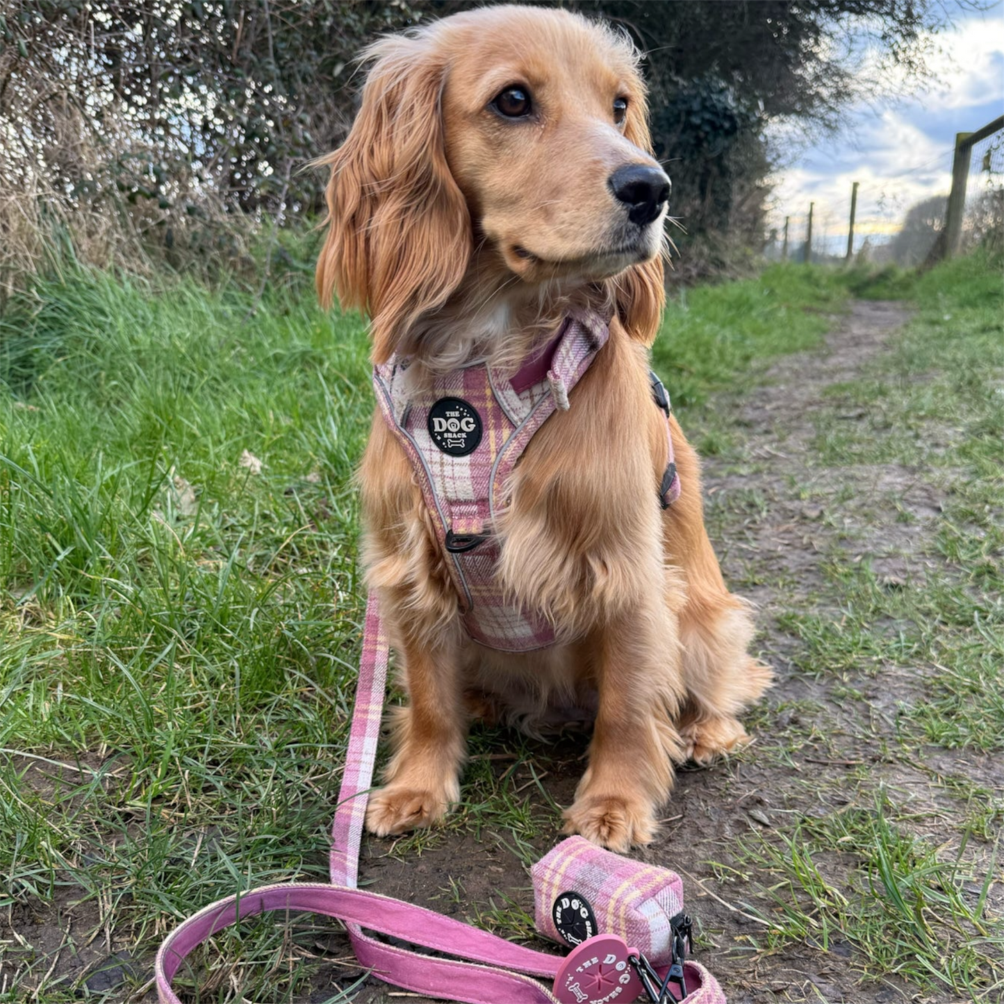 Poo Bag Holder  - Raspberry Tweed