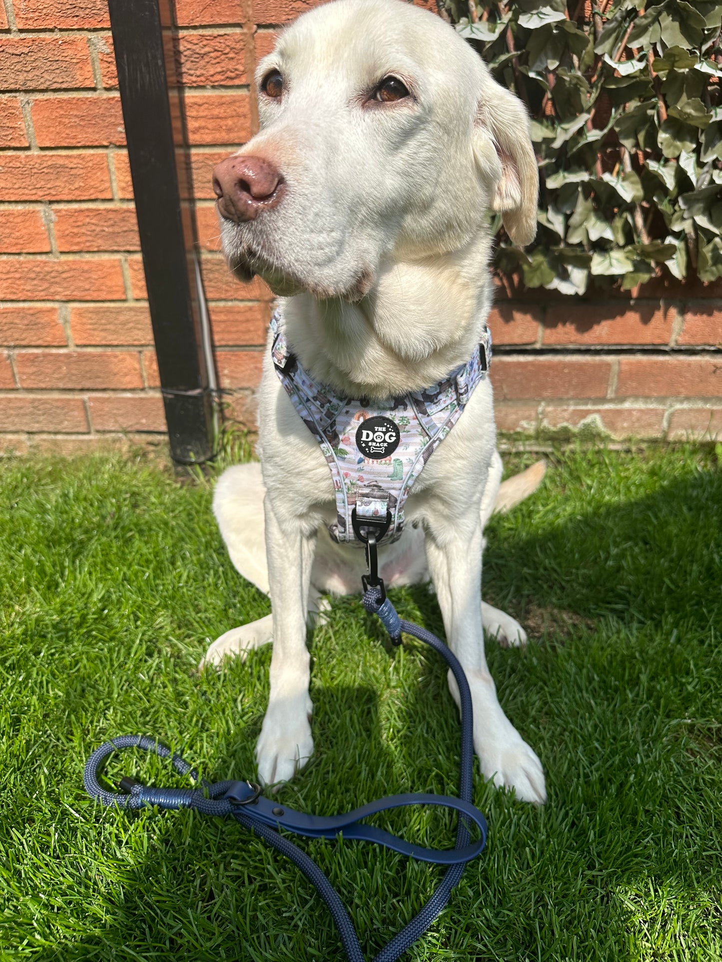 Rope Lead With Waterproof Handle - Navy