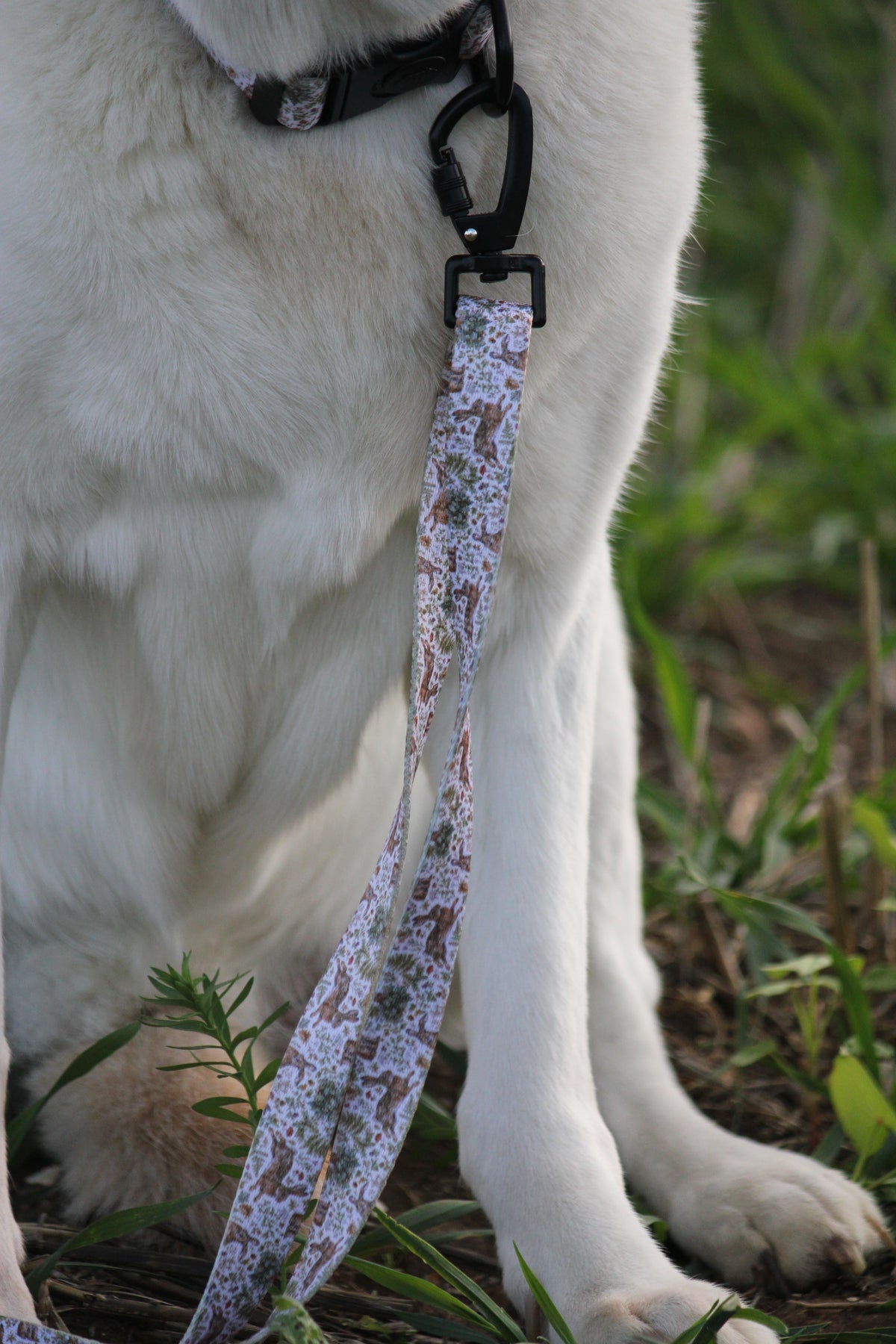 Woodland Hares Adjustable Dog Lead – Country Style