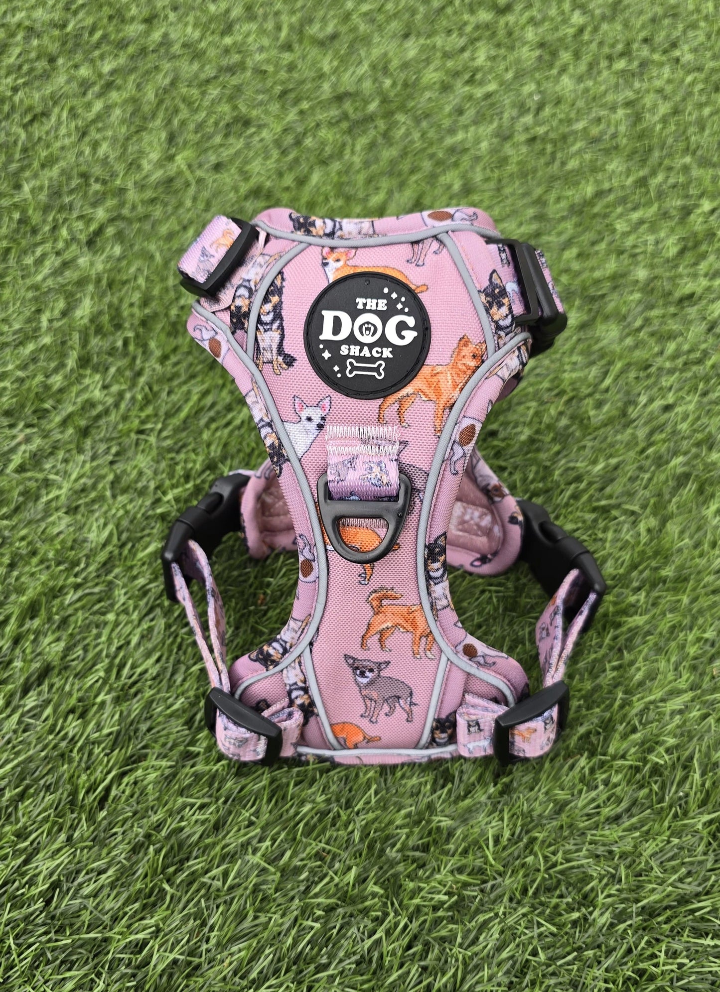 3 Clip Active Harness Lola & friends - Chihuahua Collection