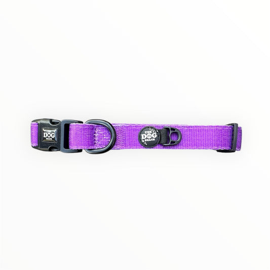 Collar - Neon Purple