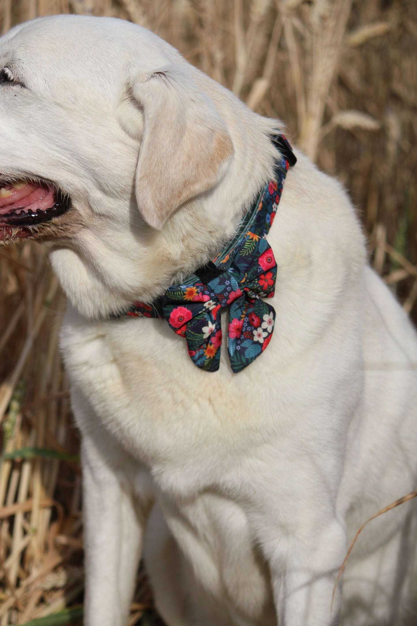 Sailor Bow Tie - Ditsy Flowers