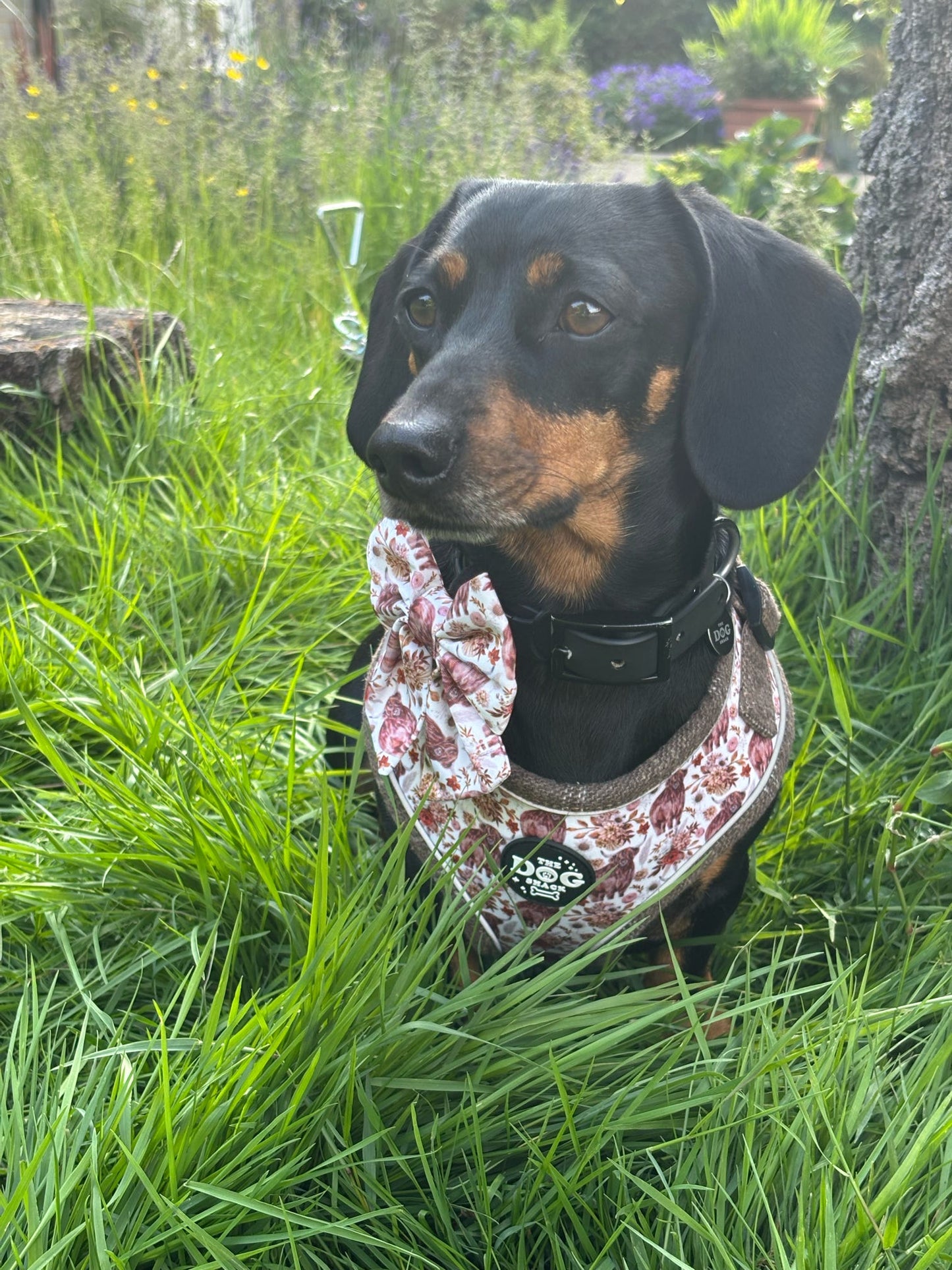 Adjustable 1 Clip & 3 harness - Brown Tweed x Highland Cow