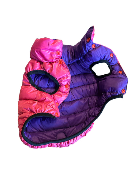 Dog Coats