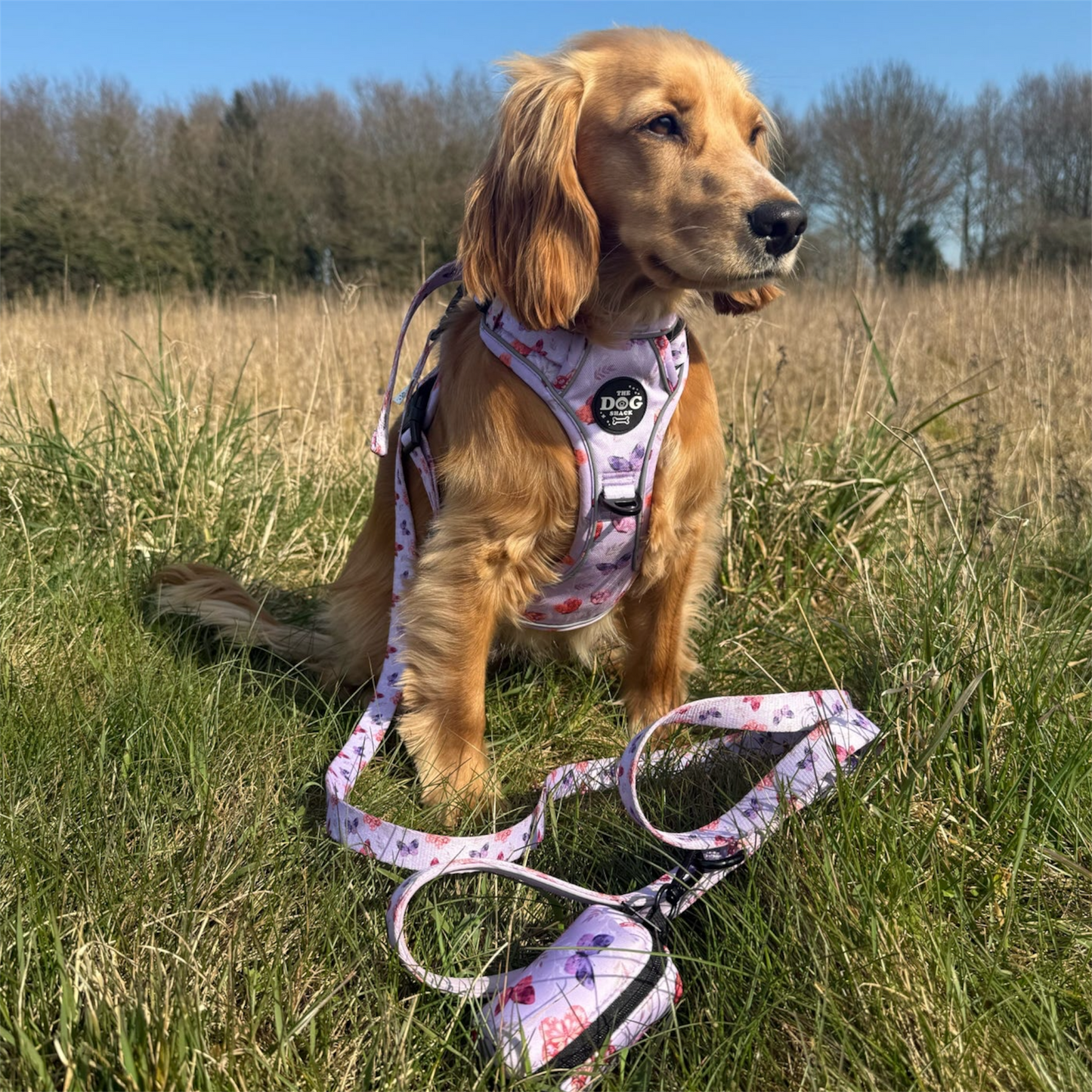 Lead - You Give Me Butterflies