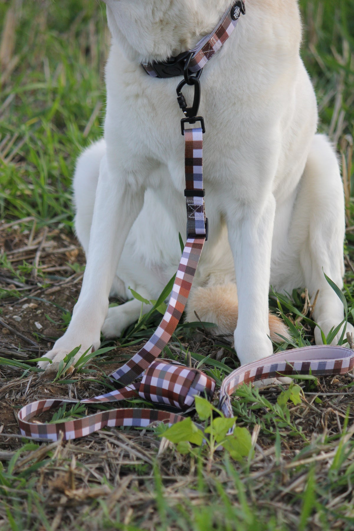 Norfolk Gingham Adjustable Dog Lead – Country Style