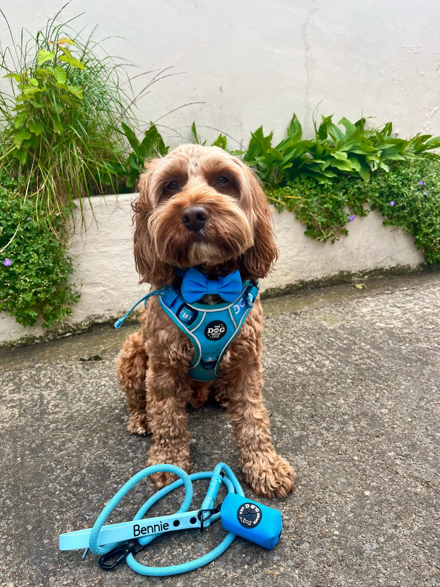 Rope Lead With Waterproof Handle - Blue