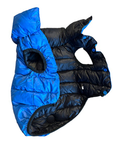 Dog Coats