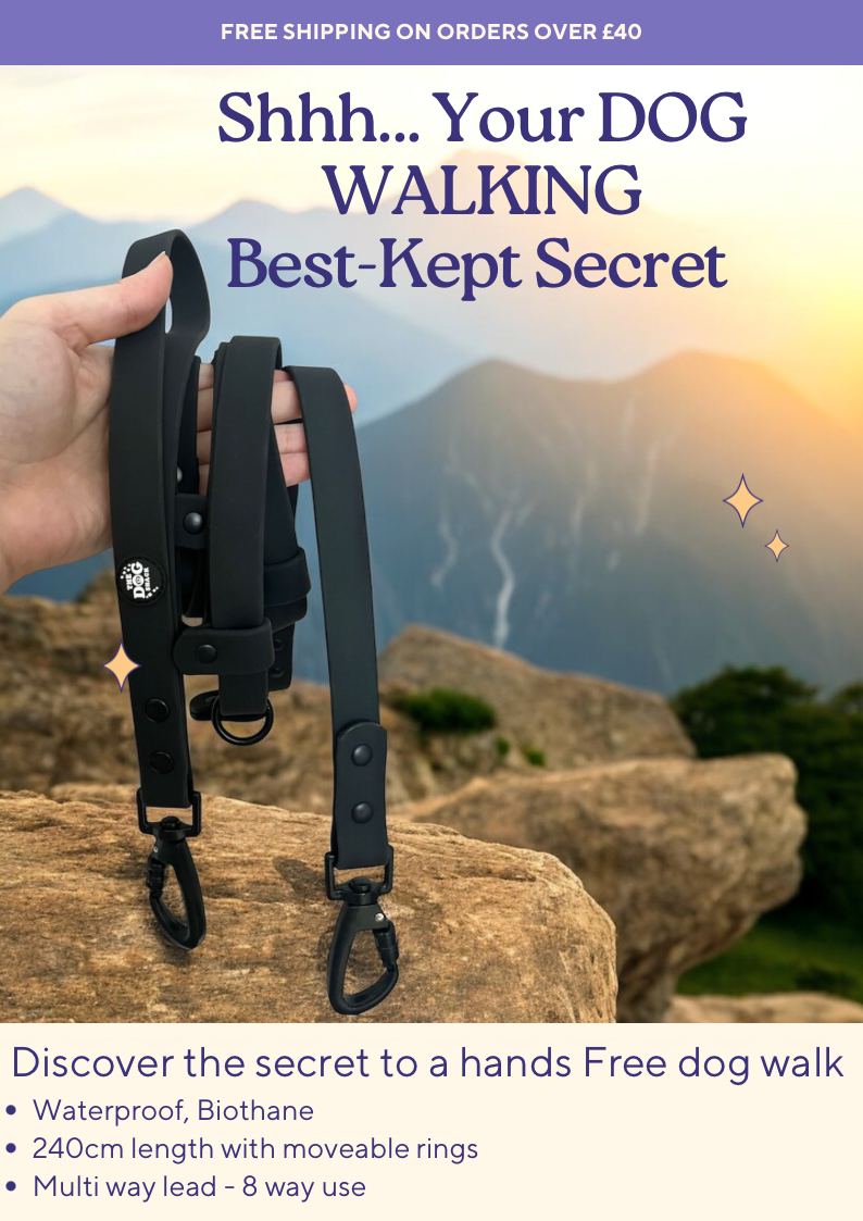 Multi Way Hands Free Dog Lead