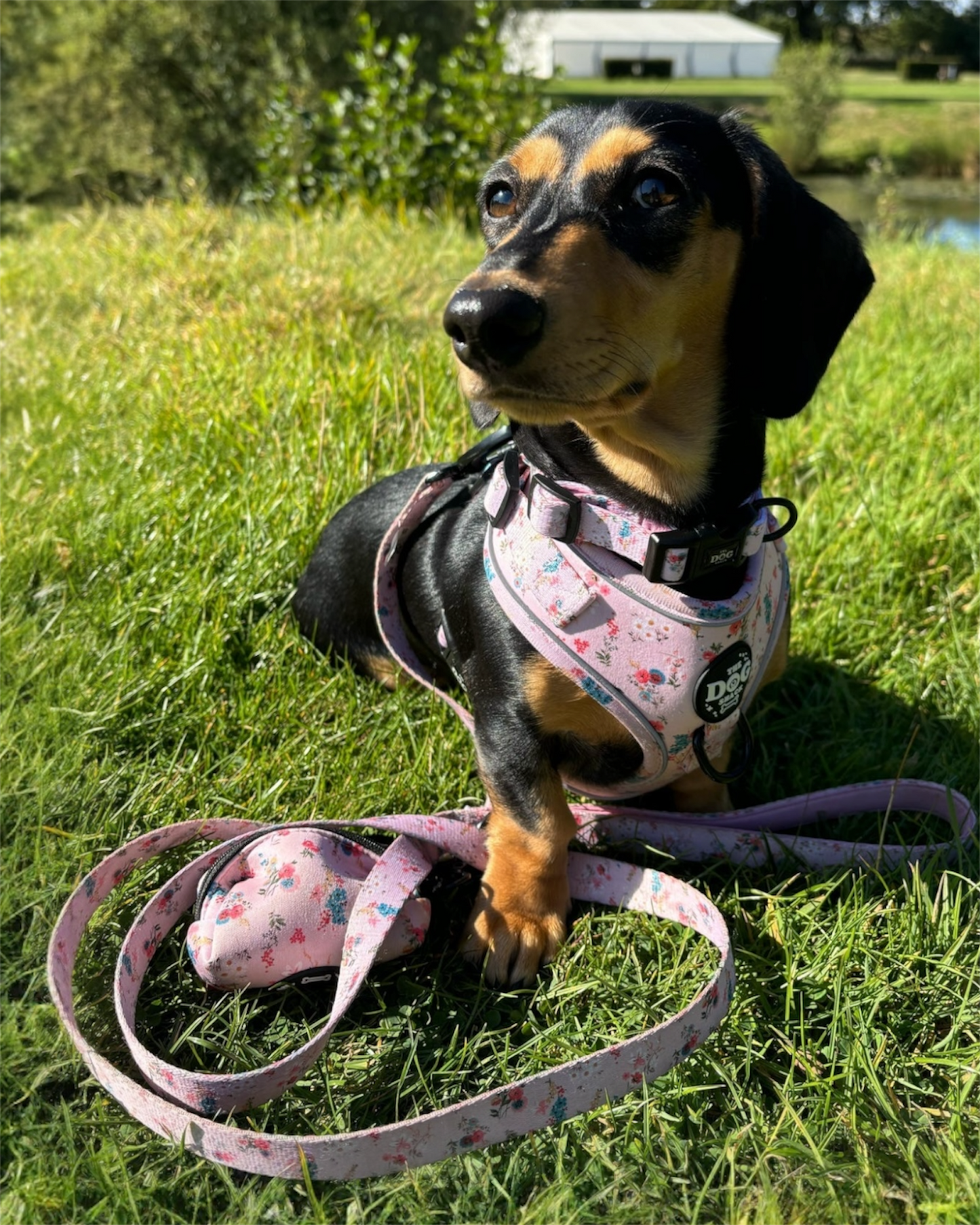 Adjustable 1 Clip & 3 Clip Harness  - Matildas Garden