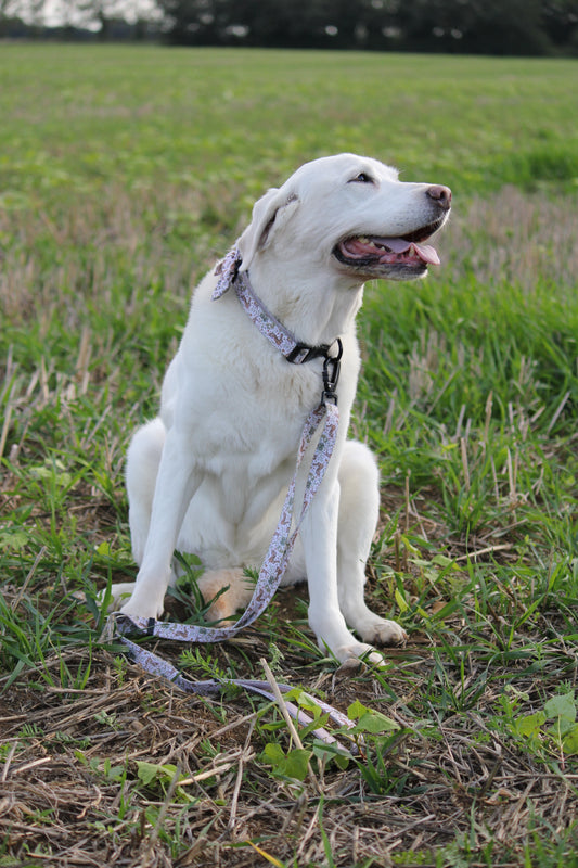 Woodland Hares Adjustable Dog Lead – Country Style
