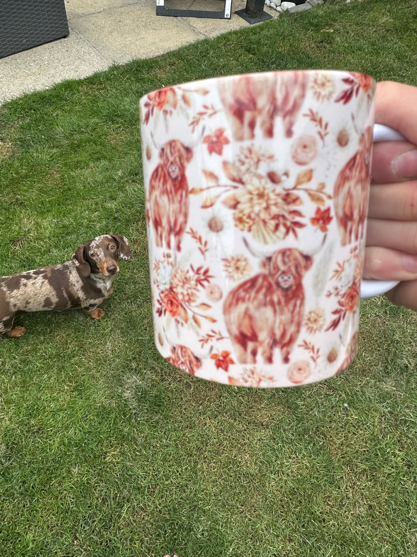 Mug - Harri Highland Cow