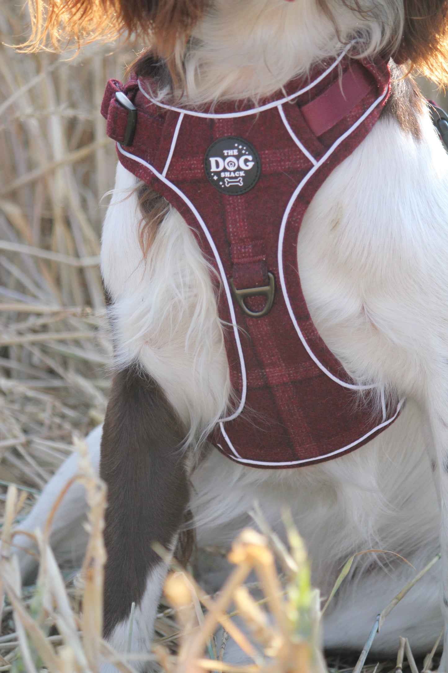Adjustable 1 Clip & 3 clip harness - Red Tweed