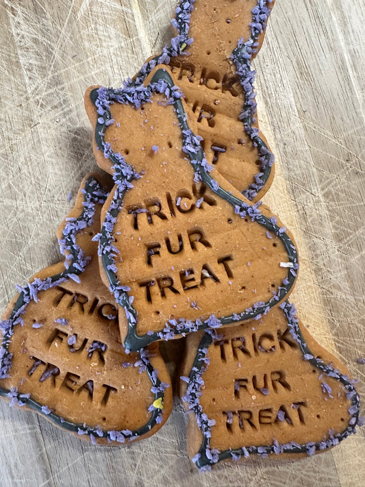 Trick Fur treat Grain Free Biscuit