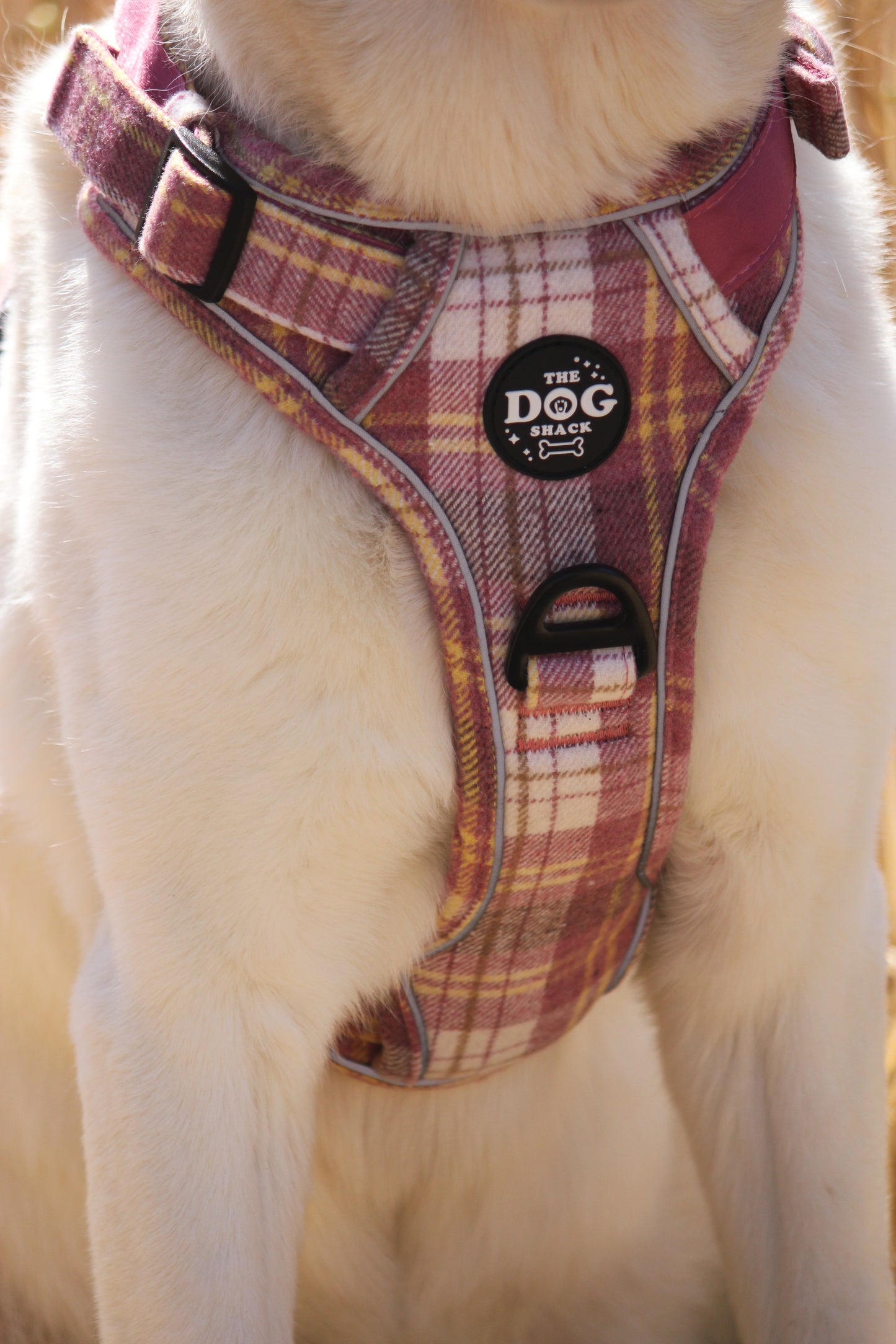 Adjustable 1 Clip & 3 Clip harness  - Raspberry Tweed