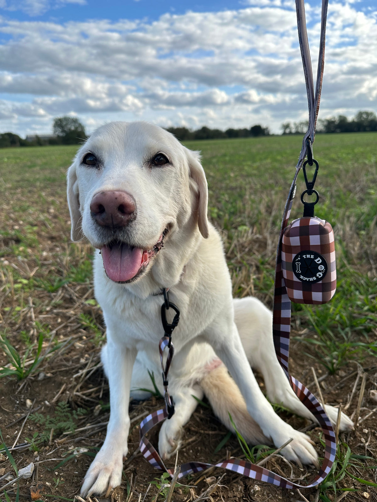 Norfolk Gingham Dog Poo Bag Holder – Country Style