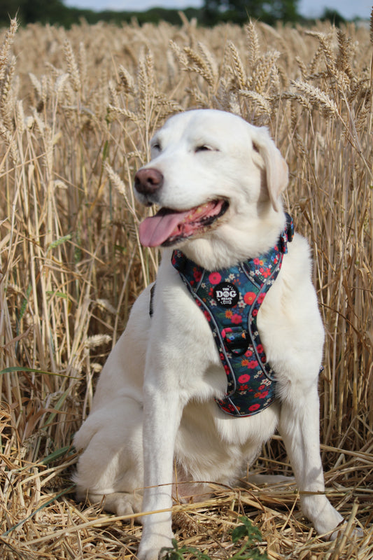 Adjustable 1 Clip & 3 Clip Harness - Ditsy Flowers