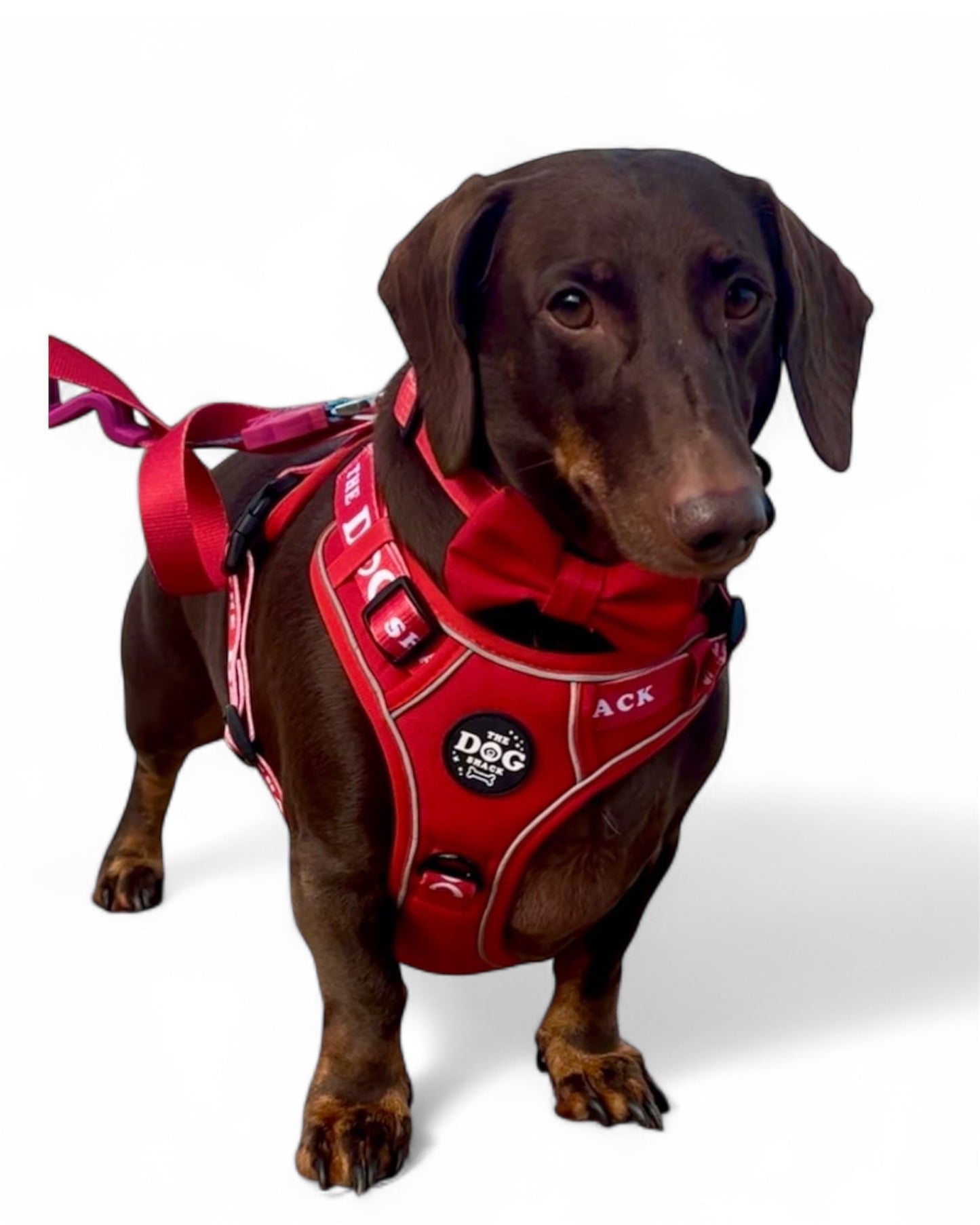 The Active Range 3 clip harness - Neon Red size XL was £34