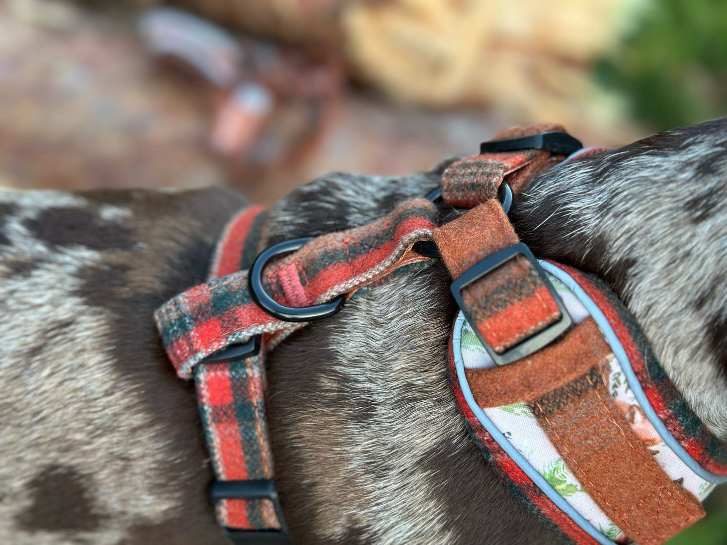 Adjustable 1 Clip & 3 clip harness - orange tweed x Fern Fox