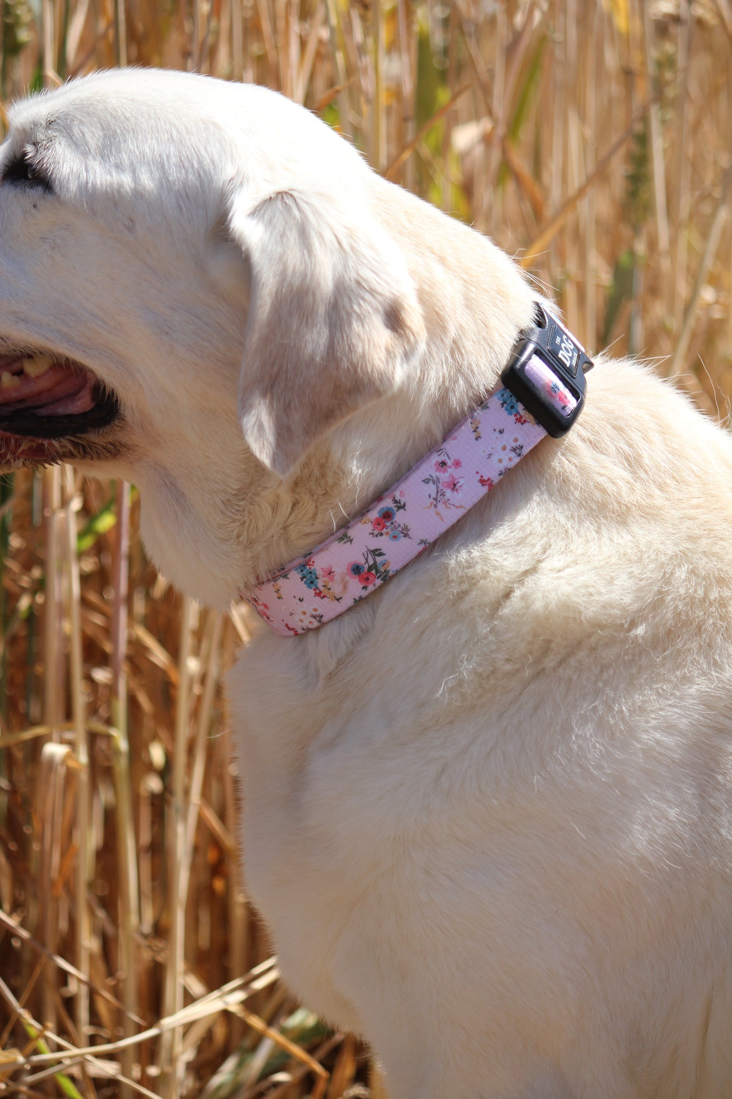 Collar - Matildas Garden