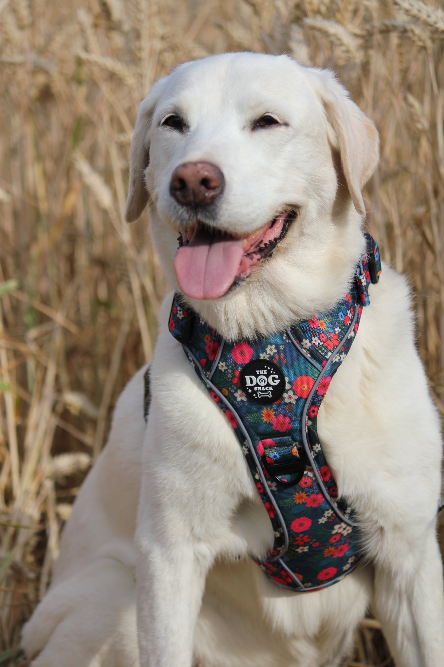 Adjustable 1 Clip & 3 Clip Harness - Ditsy Flowers