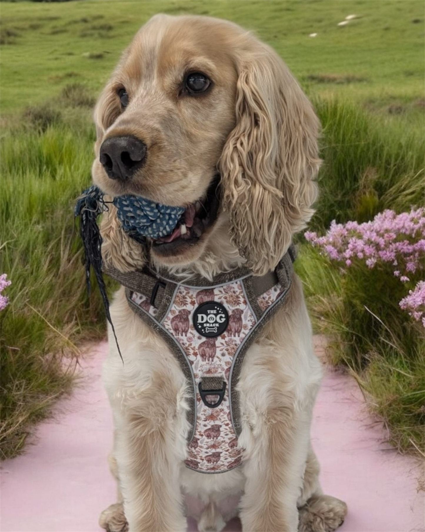 Adjustable 1 Clip & 3 harness - Brown Tweed x Highland Cow