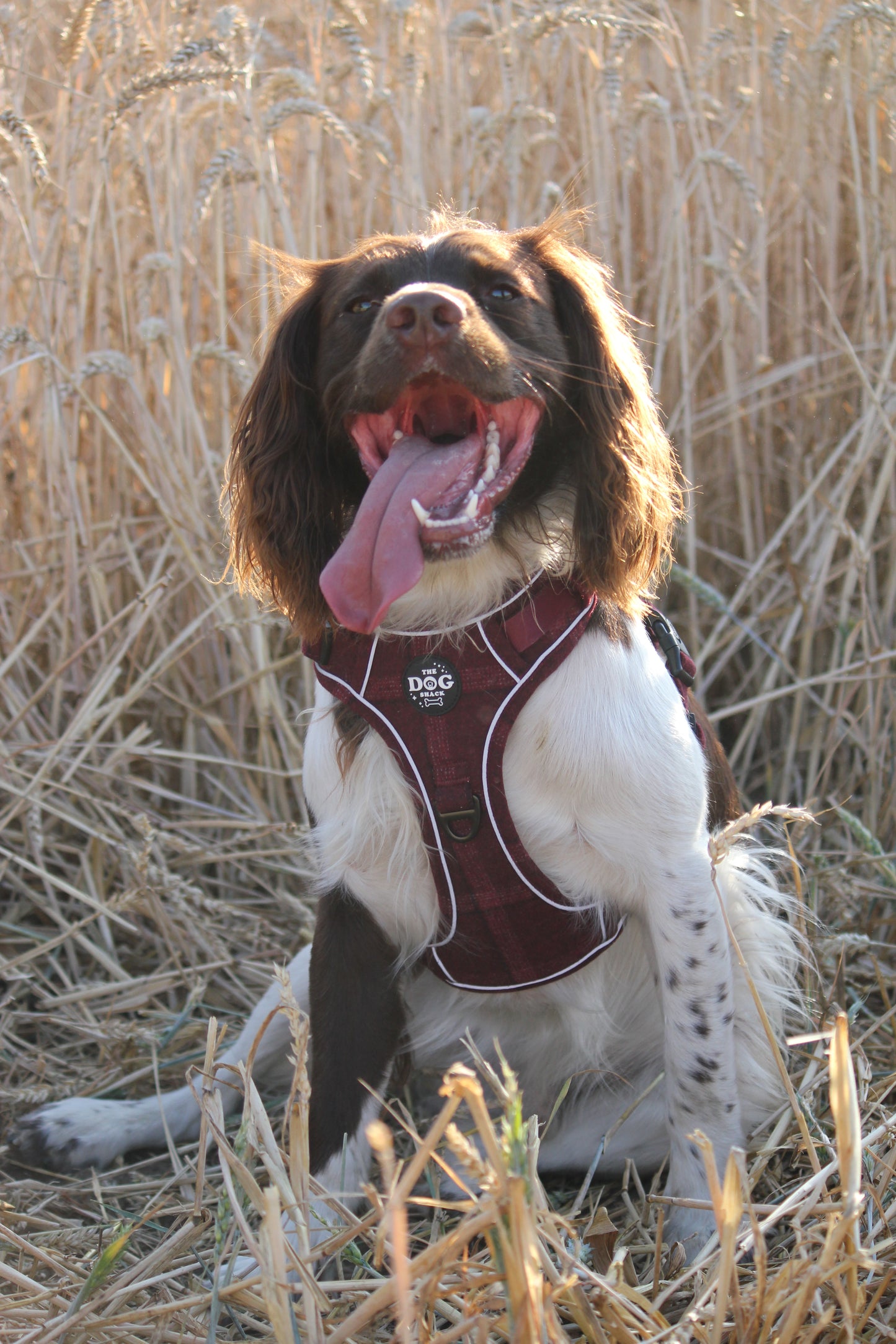 Adjustable 1 Clip & 3 clip harness - Red Tweed