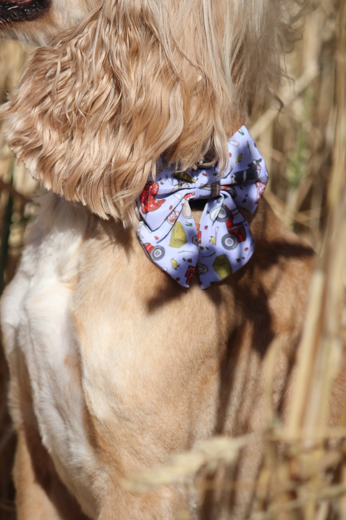 Sailor Bow Tie  - Freddie's Farm