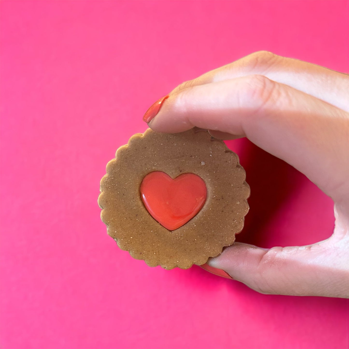 Jammy Dodger Dog Biscuit