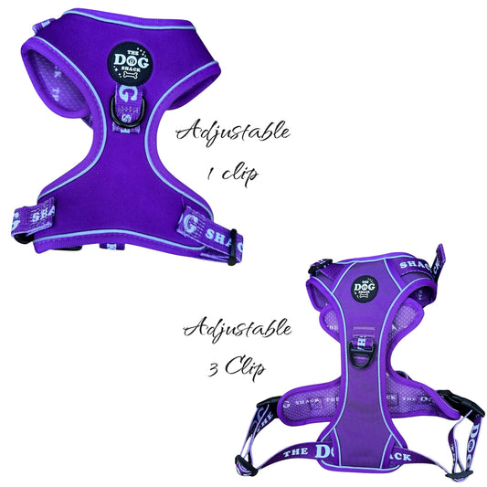 The Active Range 1 Clip &  3 clip harness - Neon Purple