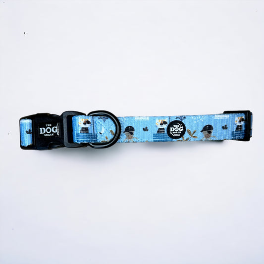 Collar - Pete the Pirate size large was £12