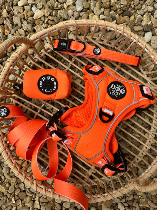 JOB LOT Neon Orange Collection Wholesale