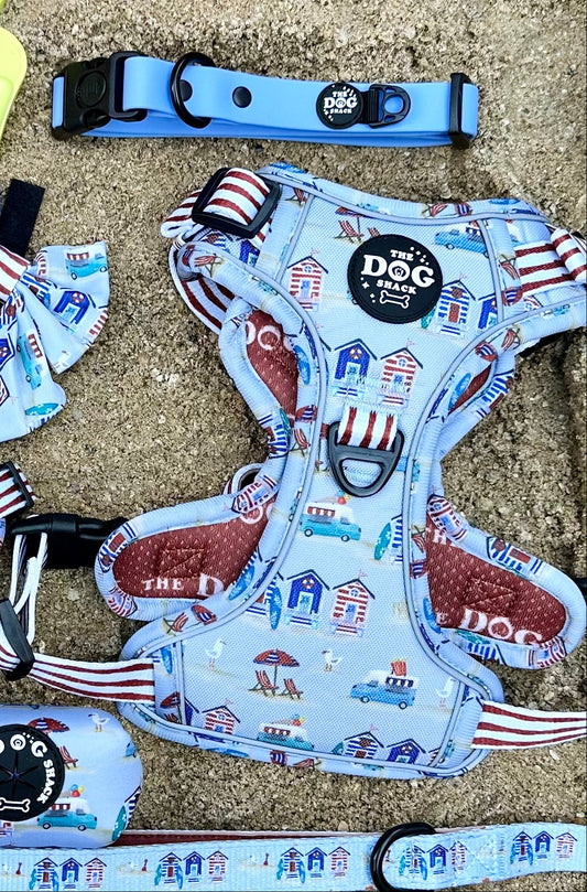Beach Pup bundle