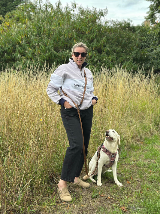 Multi Way Hands Free Dog Lead - Brown