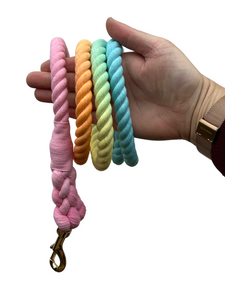 Rope Lead Single Handle Ended- Ombre Fruit Salad