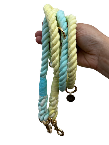 Double Ended Hands Free Rope Lead - Lemon & Blue