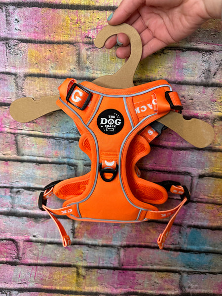 The Active 3 clip harness - Neon Orange
