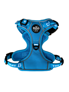 The Active 3 clip harness - Neon Blue