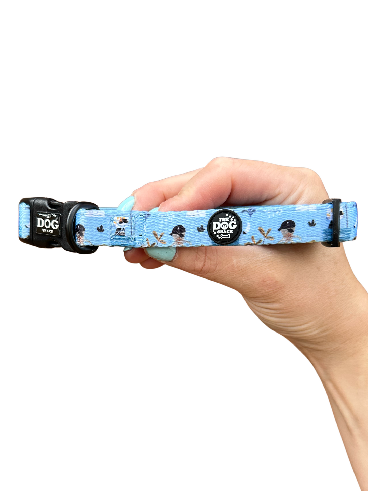 Collar - Pete the Pirate size large was £12