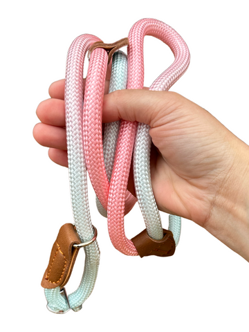Slip Lead - Ombre Pink & Baby Blue