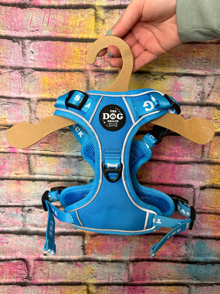 The Active 3 clip harness - Neon Blue