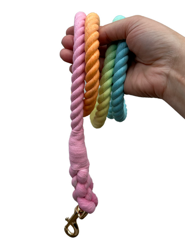Double Ended Hands Free Rope Lead - Fruit Salad
