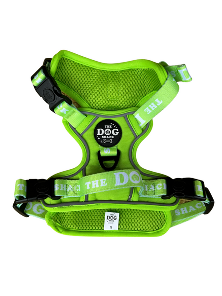 The Active 3 clip harness - Neon Green