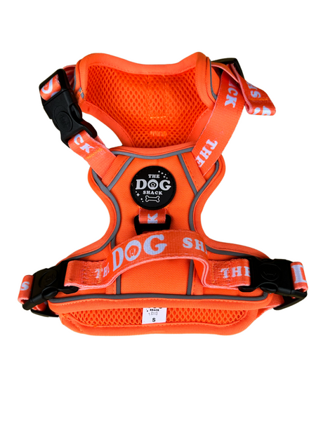 The Active 3 clip harness - Neon Orange