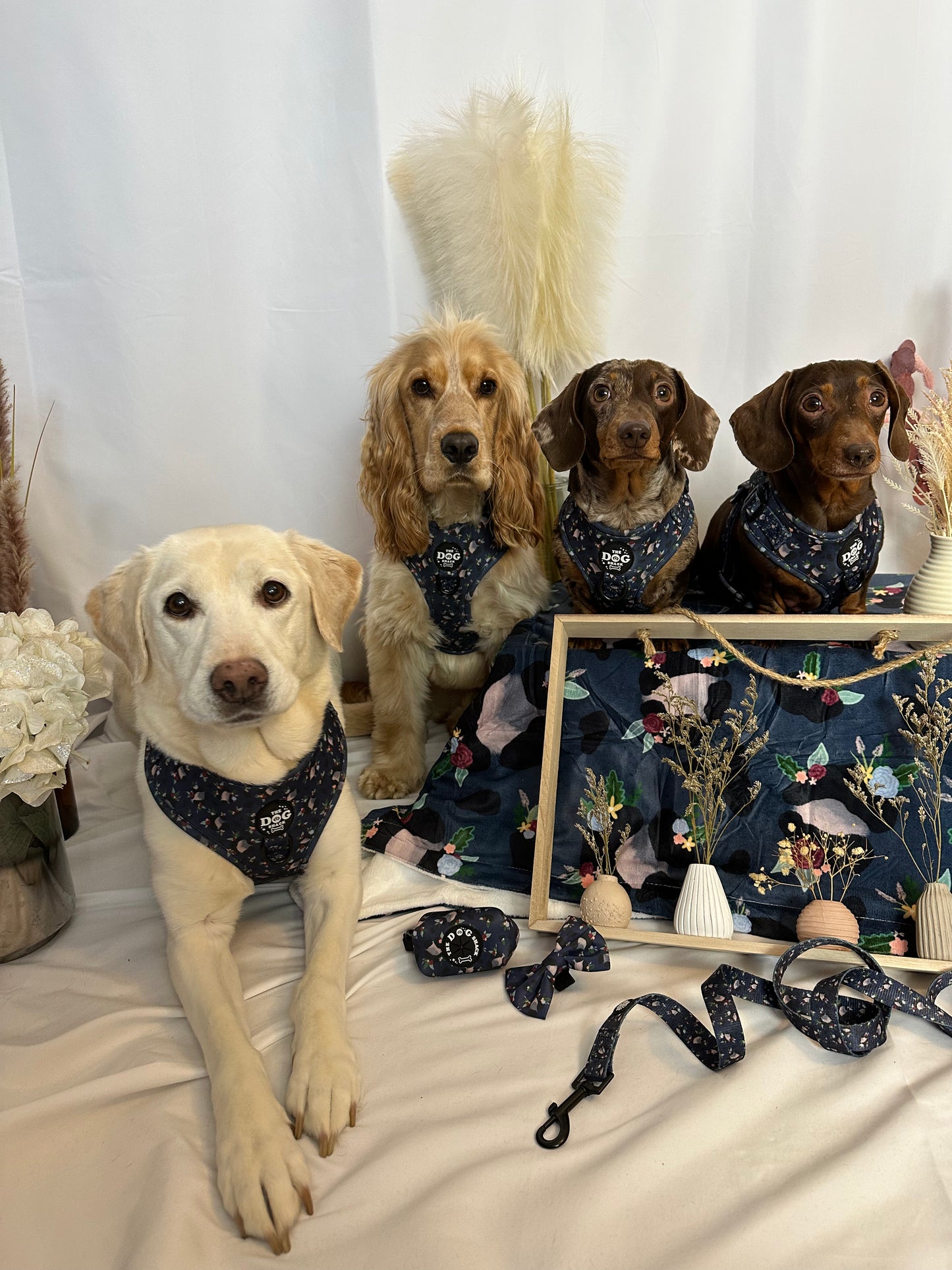 Adjustable Harness  - Blooming Wild size large was £25