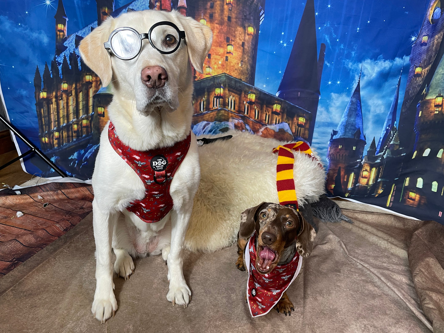 Adjustable Harness  - The School of Magic size XXS was £25