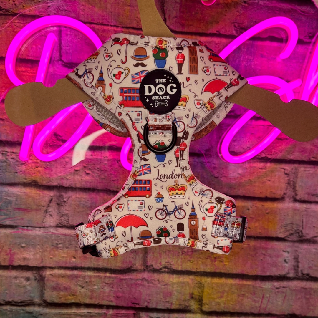 Adjustable Harness - A Royal Day Out size XXS was £25